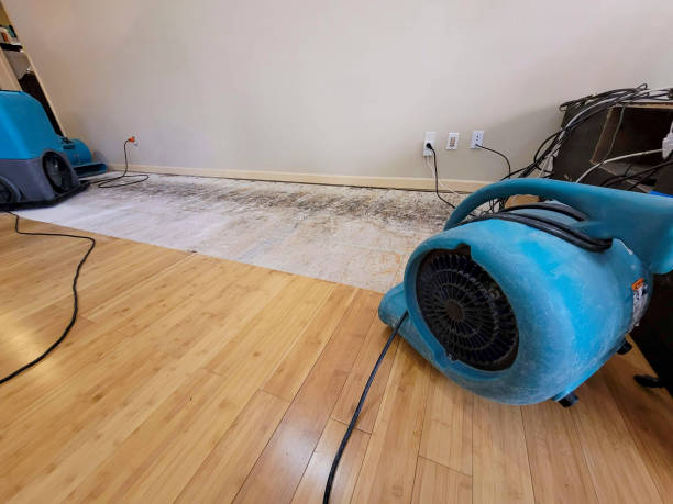 Reliable Crawl Space Water Removal contractor in Woodbury, NJ by Hirex Water Damage